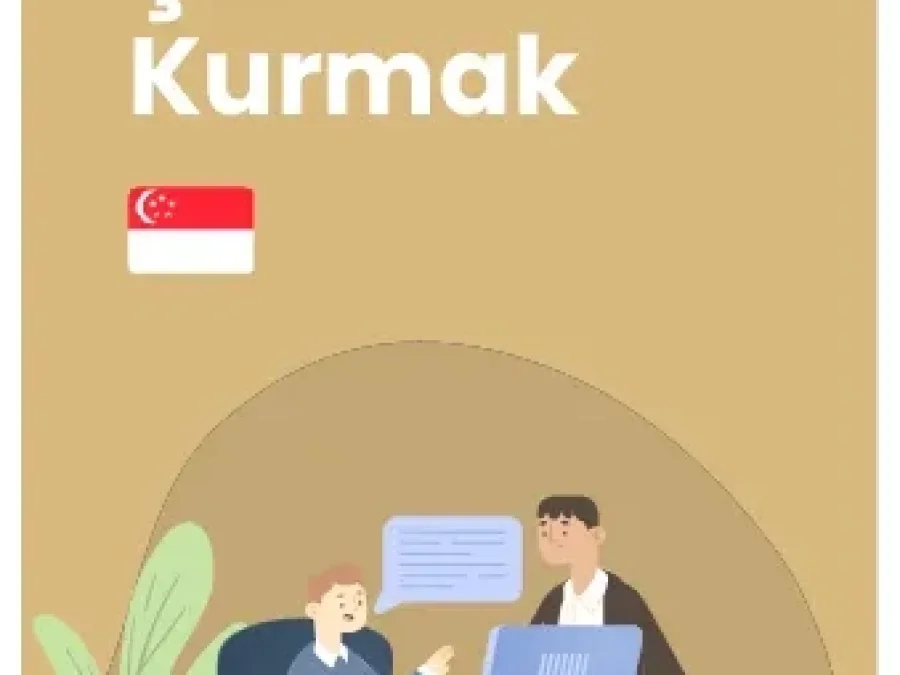 Singapur'da şirket kurmak: Marina Bay iş merkezi ve Pte Ltd kuruluş rehberi