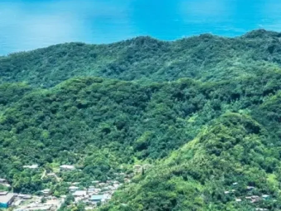 Samoa’da Şirket Kurmak