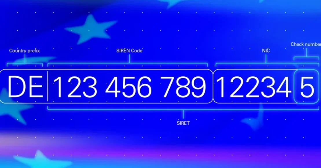 KDV (VAT) Kayıt Numarası: Nedir ve Nasıl Alınır? KDV (VAT) Kayıt Numarası: Nedir ve Nasıl Alınır?