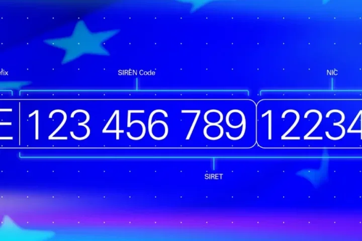 KDV (VAT) Kayıt Numarası: Nedir ve Nasıl Alınır?