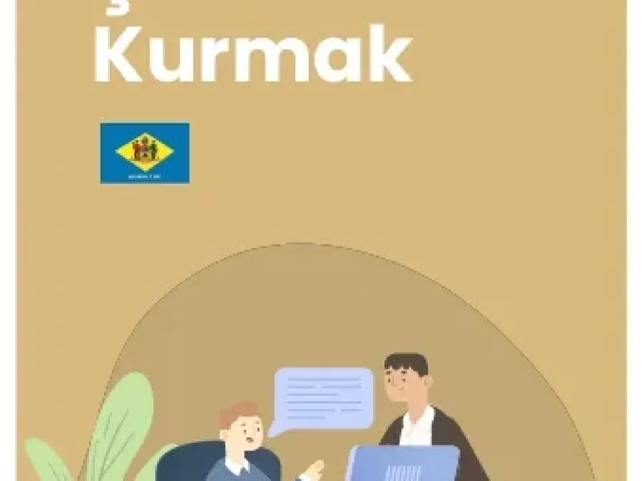 Delaware’de şirket kurmak: LLC ve C Corporation kuruluş rehberi