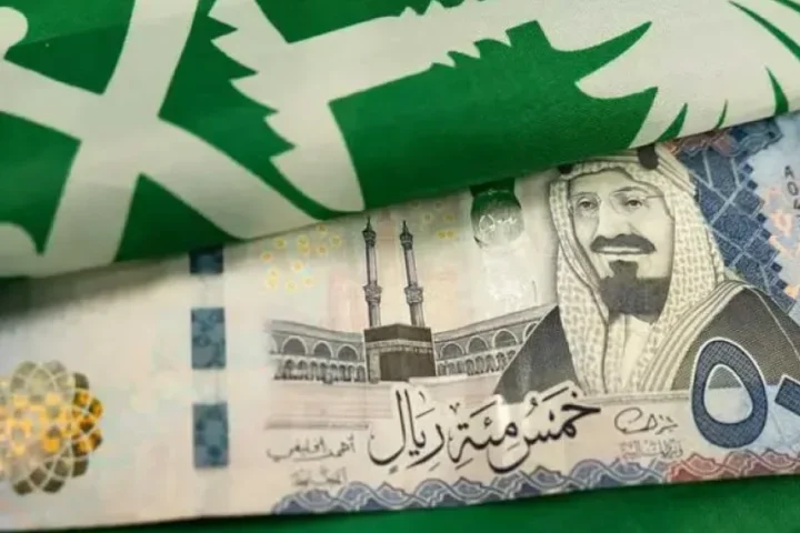Suudi Arabistan’da Vergi Oranları Suudi Arabistan’da Vergi Oranları